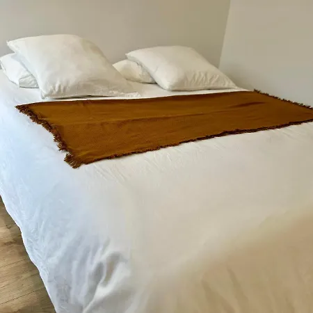 Maison Avec Piscine Et Jardin Privatifs - Un Sejour Au Calme Biscarrosse