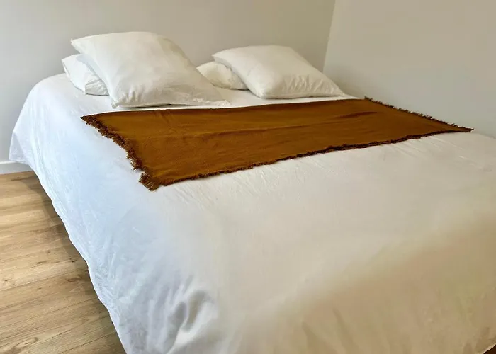 Maison Avec Piscine Et Jardin Privatifs - Un Sejour Au Calme 比斯卡罗斯